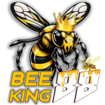 beeking88 แหล่งเดิมพันออนไลน์ครบวงจร ปลอดภัย ฝาก-ถอนไว 24 ชม.